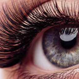 Cils, Sourcils et Eye Liner